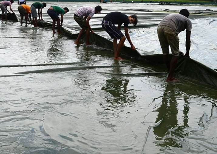 A file image of Sri Lanka groundstaff.