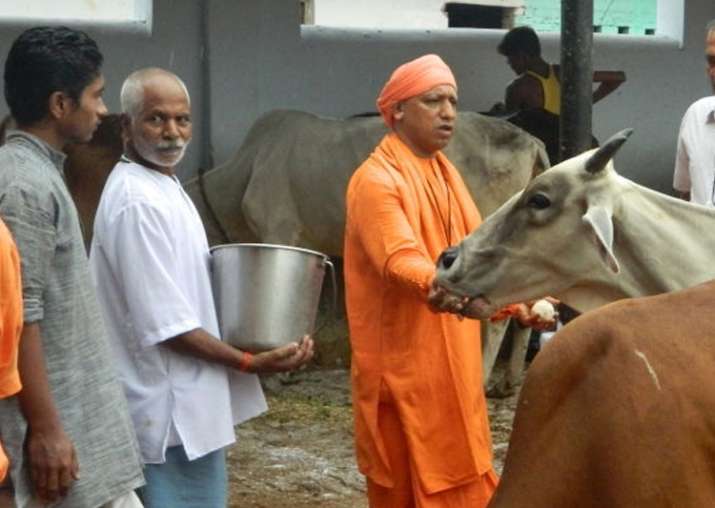 Adityanath orders setting up of 'gaushalas' across Uttar