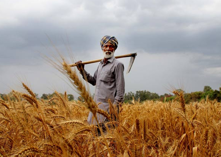 Agriculture sector didn't see reforms for 25 years: NITI