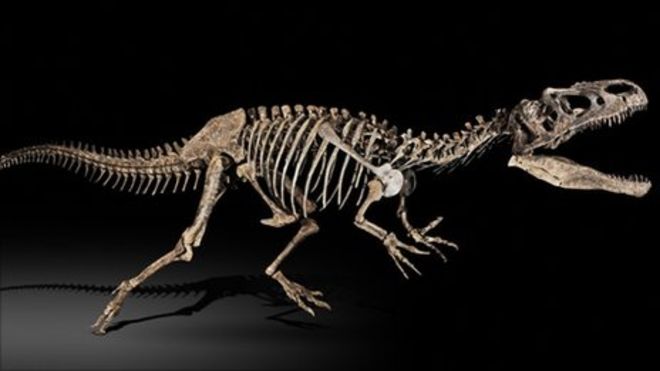 largest complete dinosaur skeleton