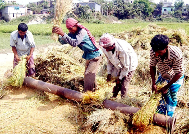 Representational pic - Record production of foodgrains in
