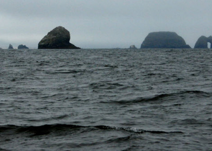 The cause of the crash was not immediately clear, the Navy