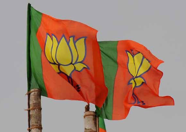 UP Civic Poll Results: Lotus blooms in temple town, Ayodhya