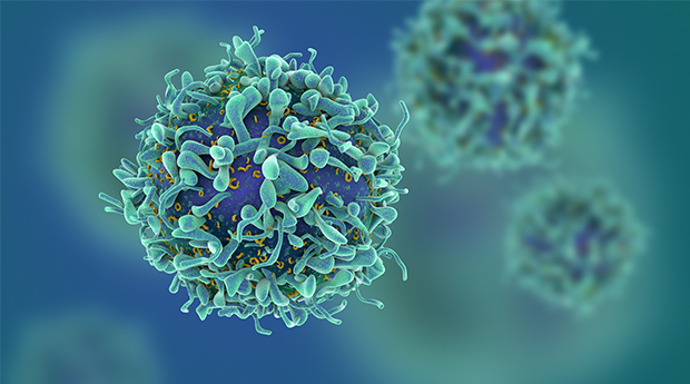 Cancer cells, rare cancer