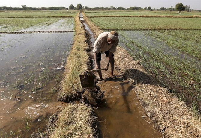 The decline in the number of surface irrigation schemes has