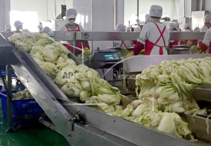 Workers prepare kimchi on the production line at the