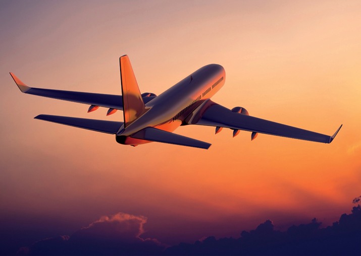 Cap air fares, suggests Parliamentary panel; Civil Aviation