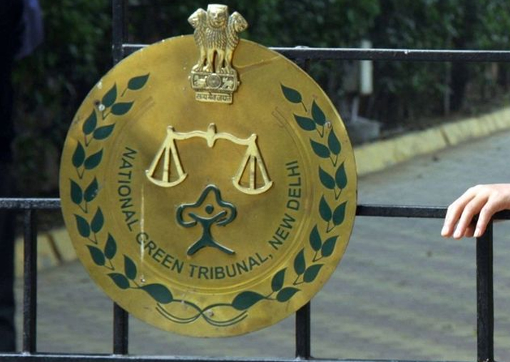 NGT refuses to entertain plea for 'one family, one car'