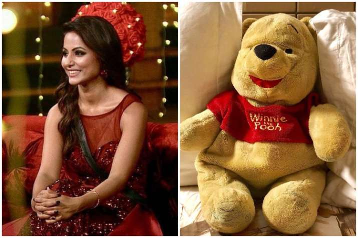 Bigg Boss 11 contestant Hina Khan trolled for sharing her Pooh’s pic on