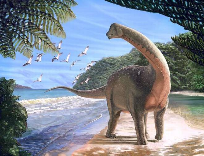Titanosaurs are famous for including the largest land