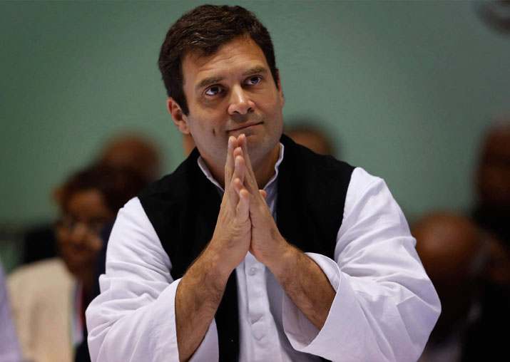 Rahul Gandhi forms 34-member steering committee for