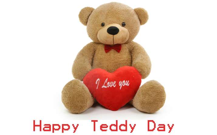 teddy day next day