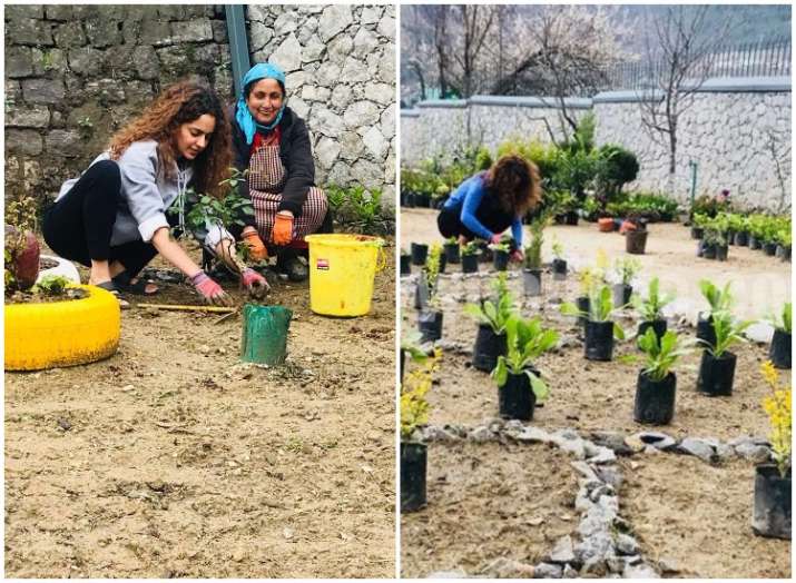 Here's how Kangana Ranaut celebrated 31st birthday