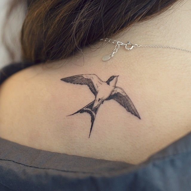 India Tv - Swallow tattoo