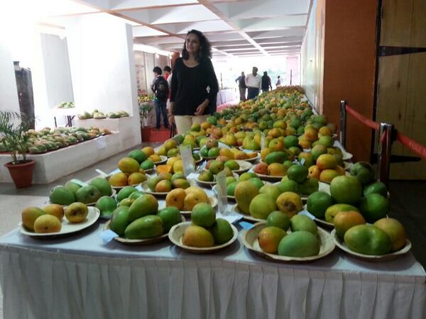 India Tv - Mango mania in Goa: Local variety takes over the Alphonso