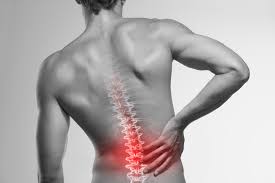 Here's how early physical therapy can help to reduce back