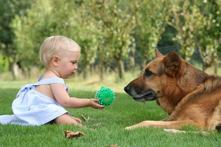 City upbringing, without pets, raises mental illness risk,
