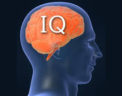 An extra year of education may increase your IQ, finds study