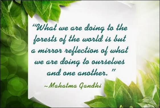 Happy World Environment Day 2018 Theme Quotes Poster Slogan Significance Whatsapp Messages Hd Images Lifestyle News India Tv