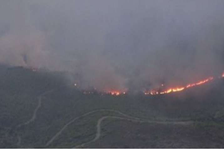 Fanned by strong winds, the fast-moving wildfire