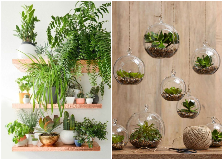 Decorate Your Home With Indoor Plants 5 Easy Home Decor