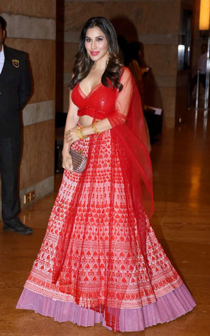India Tv - Sophie Choudry