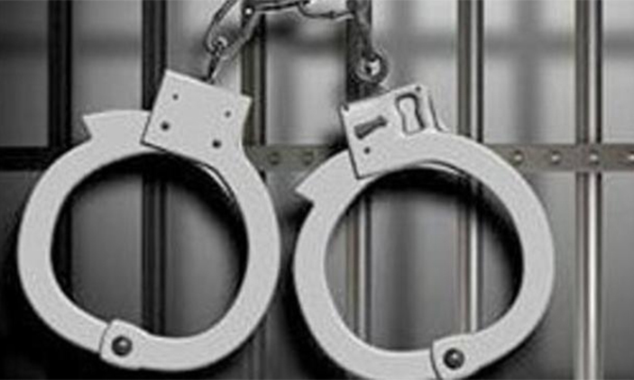 Maoist ideologue Varavara Rao arrested for involvement in