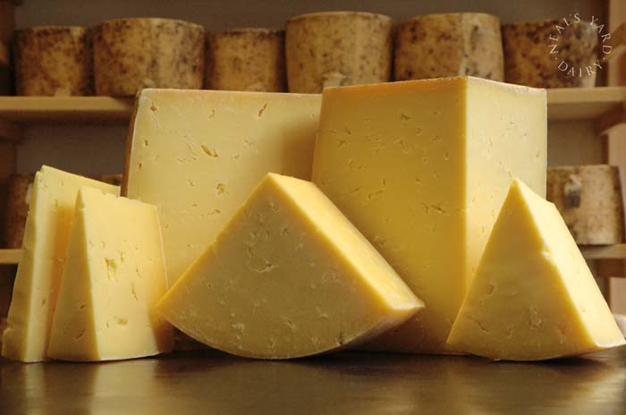 World's oldest cheese discovered from Egyptian tomb | Food News – India TV
