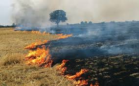 Nasa satellite images show fewer cases of crop burning in Haryana and  Punjab | Science News – India TV