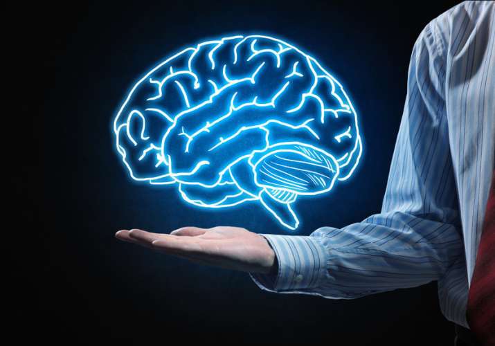Bigger brain could make you only a little smarter than