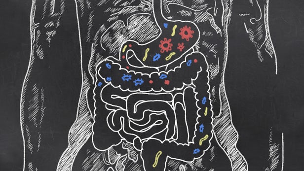 Gut bacteria