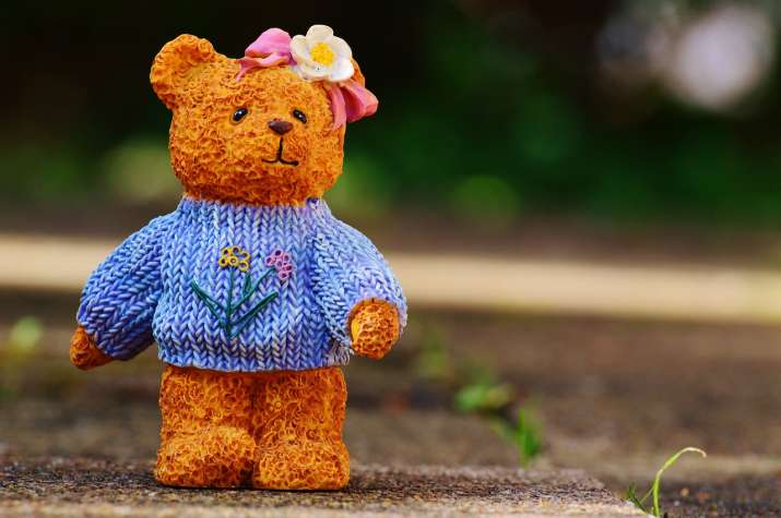 teddy bear day 2019