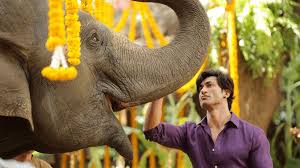 After Commando series, Vidyut Jammwal planning 'Junglee'