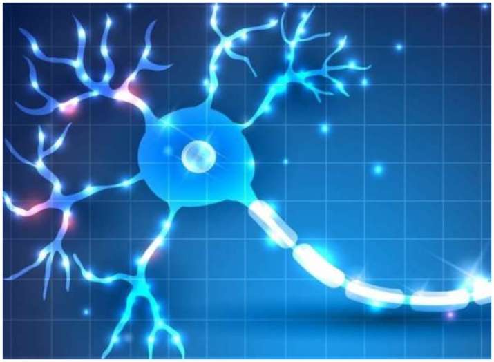 Multiple Sclerosis definition and cause; Here's why people with MS shouldn't consume sugar-sweetened