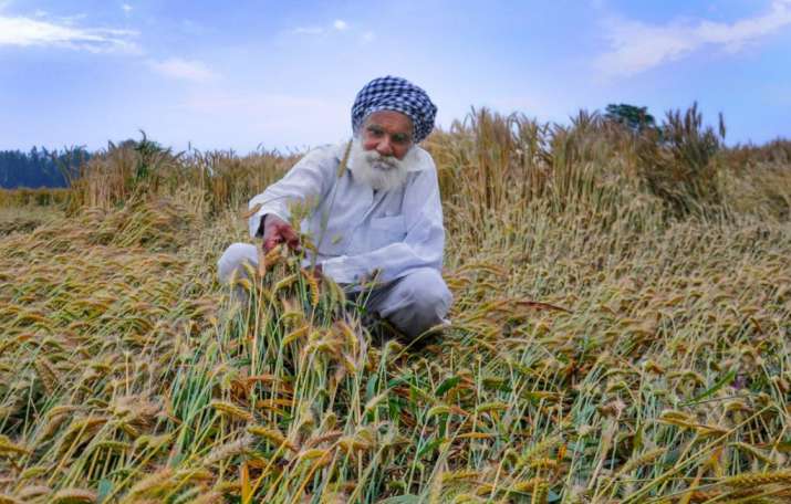 Thunderstorms claim 50 lives in four states, crops damaged; IMD ...