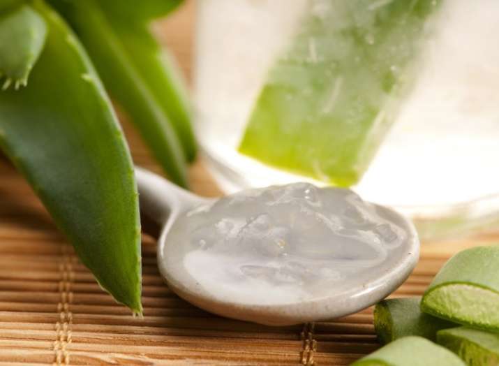 Hair Care Tips Switch To Aloe Vera And Coconut Oil To Get Silky