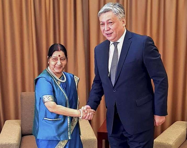 Sushma Swaraj representing India in Concil of Foreign Ministers meeting Representation image