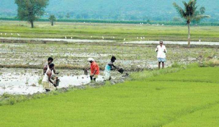 PM Kisan Scheme