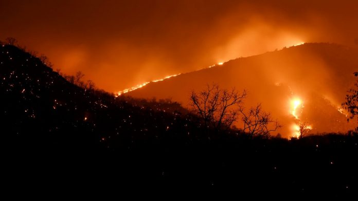 Underground fire in UP forest triggers panic