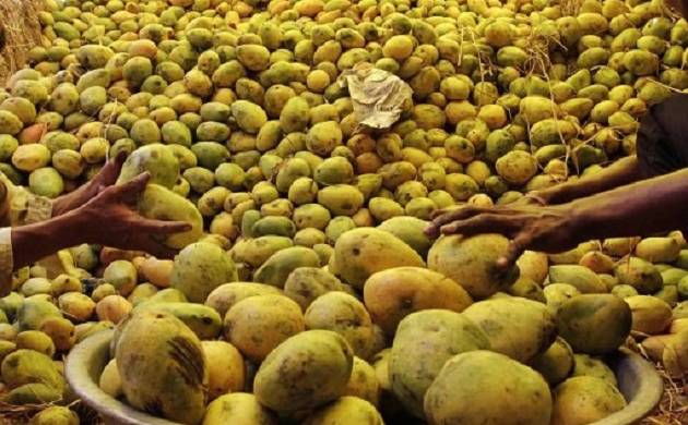 The Alphonso from the western part of the country has not