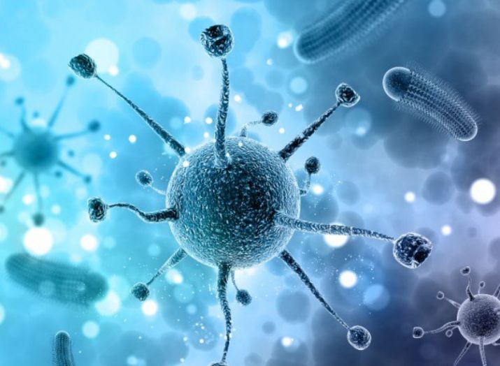 Nipah Virus