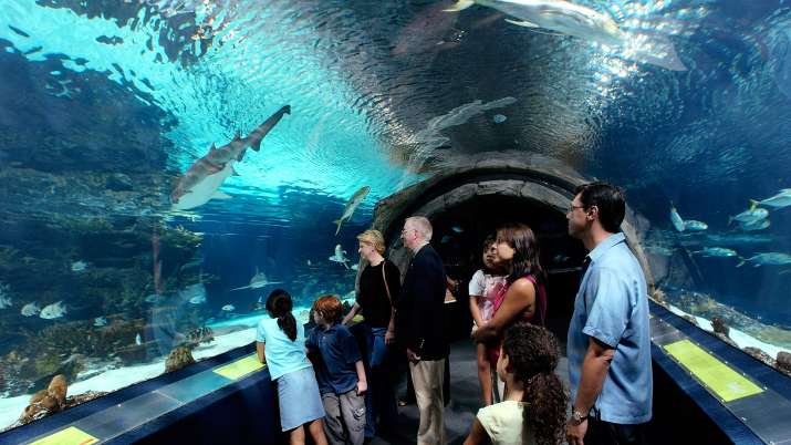 Visit Philadelphia’s top family friendly attractions | Travel News ...