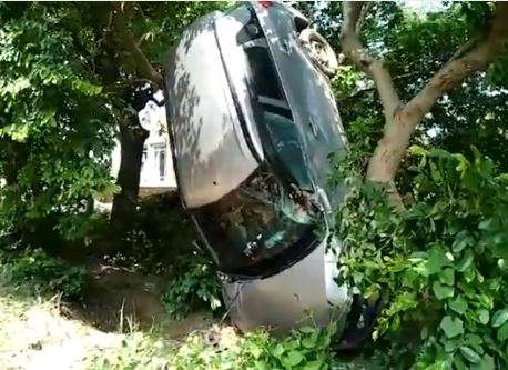 An SUV car crashed into a tree