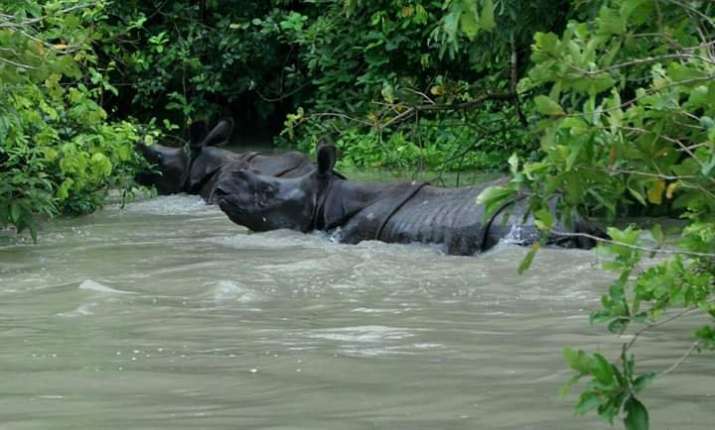 90 percent of Kaziranga National Park submerged;