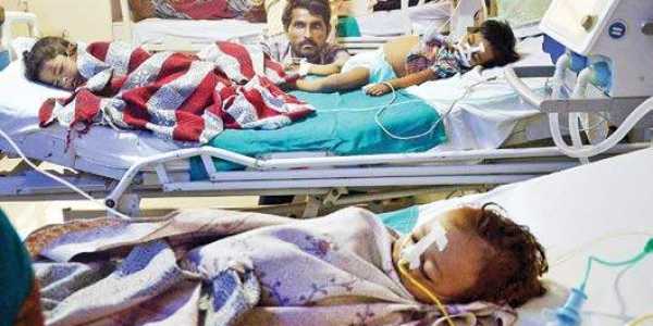 Japanese Encephalitis claims over 21 deaths in Assam
