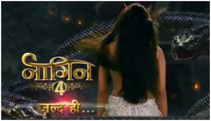 Naagin 4: Forget Hina Khan, Krystle D'Souza will play ‘ichhadhari naagin’ in Ekta Kapoor’s show