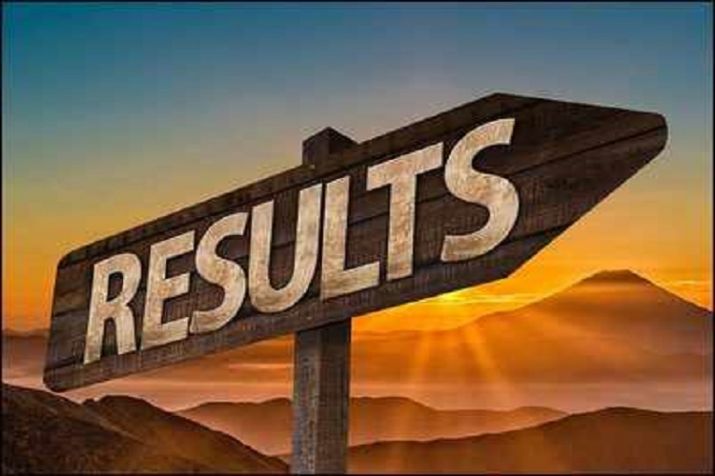 Rajasthan BSTC Allotment Result how to check
