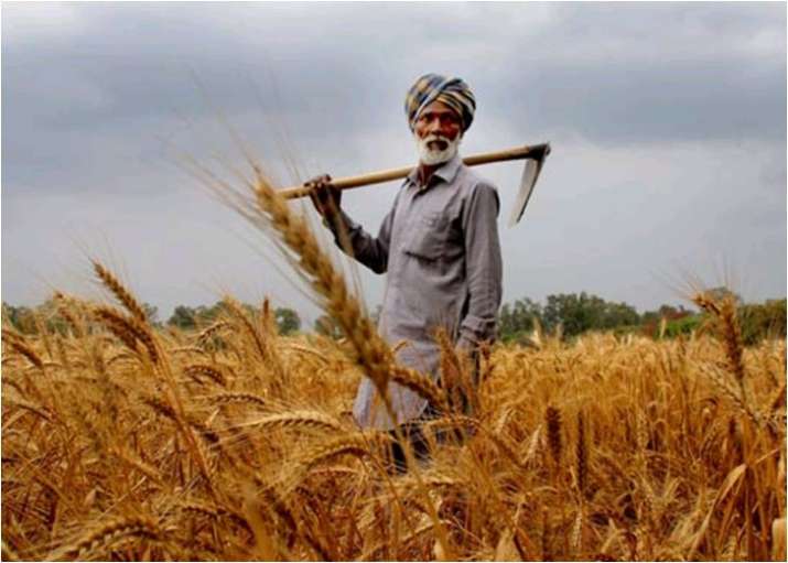 RBI panel pitches for federal body like GST Council in farm