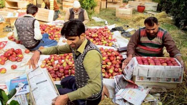 Jammu & Kashmir Governor warns those threatening apple