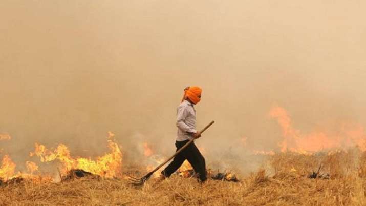 This official pens songs to stop stubble burning in Punjab